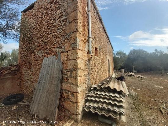 Finca rustica en venta en Santa Margalida - BALEARES