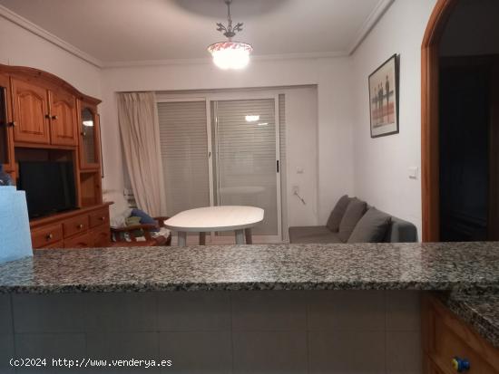 EXCELENTE VIVIENDA VACACIONAL EN ALQUILER EN SANTA POLA - ALICANTE