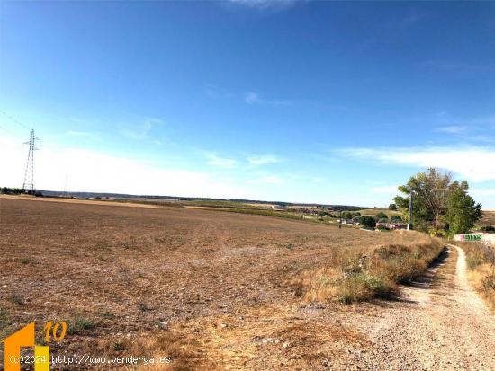 Finca en venta en Renuncio. - BURGOS