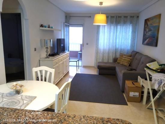 Se Alquila Apartamento en Los Arenales del Sol DE OCTUBRE A MAYO - ALICANTE