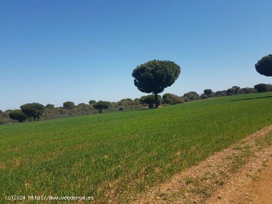 Se Vende en Añover de Tormes - SALAMANCA