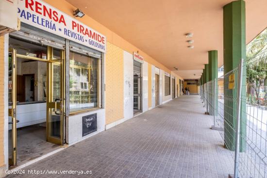 LOCAL COMERCIAL EN AVENIDA DE LAS CIENCIAS. EDIFICIO LAS CAMELIAS. SEVILLA ESTE. - SEVILLA