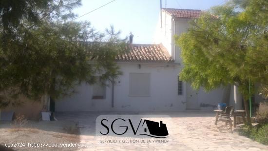  SE VENDE CHALET EN NOVELDA ZONA CASAS DE SALA - ALICANTE 