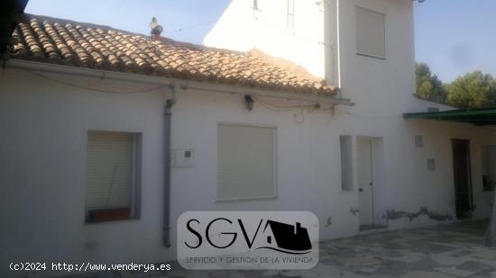 SE VENDE CHALET EN NOVELDA ZONA CASAS DE SALA - ALICANTE