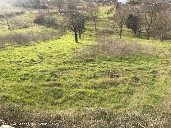  SE VENDE FINCA RUSTICA EN TORAL DE MERAYO. - LEON 