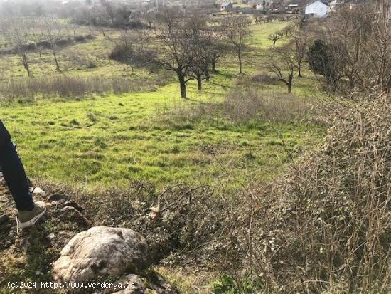 SE VENDE FINCA RUSTICA EN TORAL DE MERAYO. - LEON