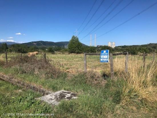 SE VENDE FINCA RUSTICA EN BARCENA DEL BIERZO - LEON