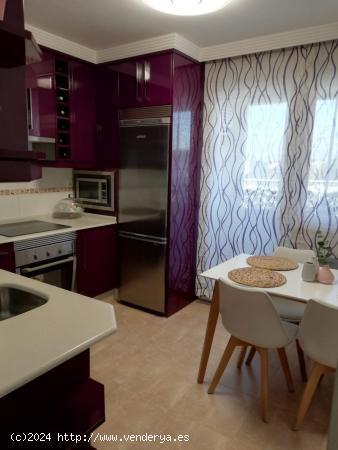 SE VENDE DUPLEX EN FUENTESNUEVAS AMUEBLADO A CAPRICHO. - LEON