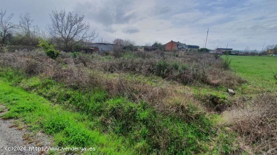  SE VENDE FINCA RÚSTICA EN CUBILLOS DEL SIL - LEON 