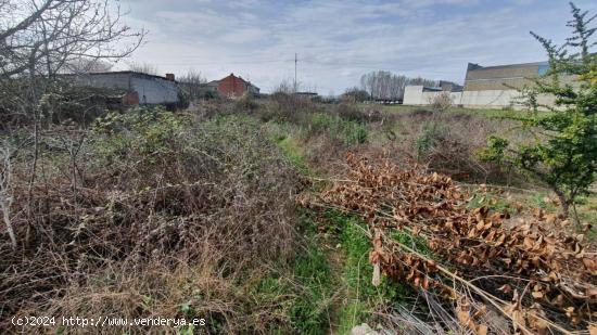 SE VENDE FINCA RÚSTICA EN CUBILLOS DEL SIL - LEON