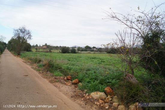 Se Vende en Llucmajor - BALEARES