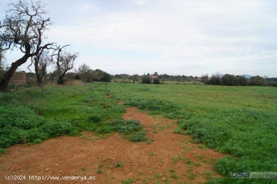 Se Vende en Llucmajor - BALEARES