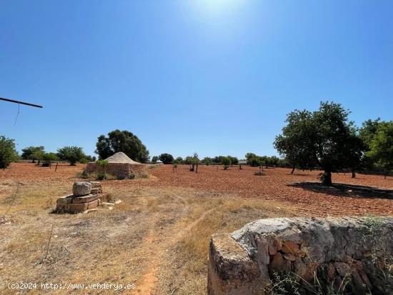 SE VENDE FINCA RUSTICA EDIFICABLE - BALEARES