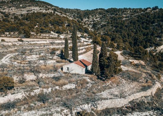 Finca rústica con casa - ALICANTE