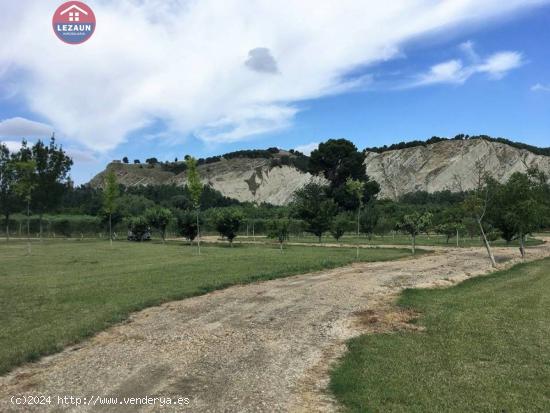 Finca Rustica en Peralta - NAVARRA