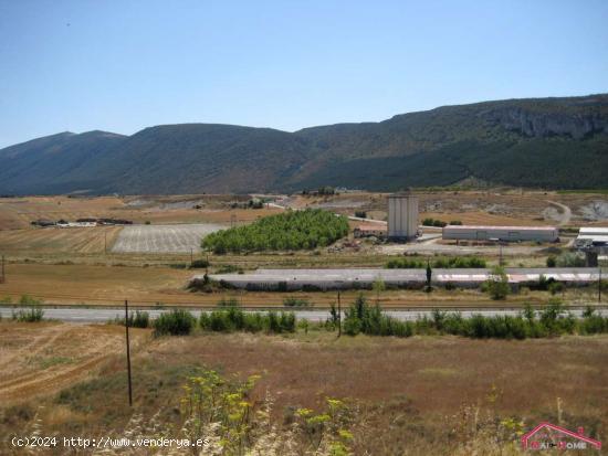 TERRENO INDUSTRIAL EN LUMBIER - NAVARRA