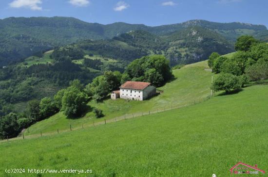 Caserío en Alkiza con amplio terreno - GUIPUZCOA