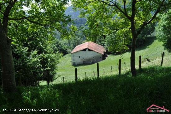 Caserío en Alkiza con amplio terreno - GUIPUZCOA