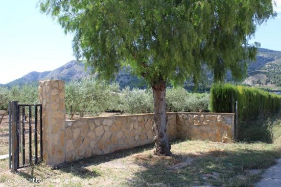  Terreno Rural con agua de pozo y luz - ALICANTE 