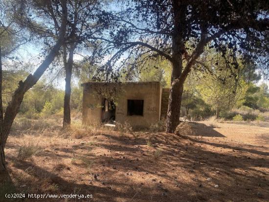  TERRENO RÚSTICO EN TIBI(ALICANTE) - ALICANTE 