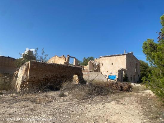 TERRENO RÚSTICO EN TIBI(ALICANTE) - ALICANTE