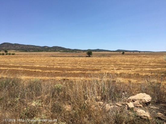  TERRENO POR LA CARRETERA DE AYORA - ALBACETE 