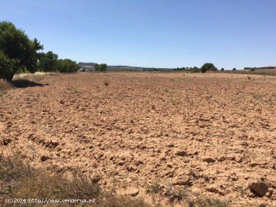  TERRENO EN SAN ANTON - ALBACETE 