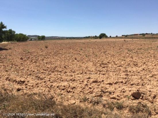 TERRENO EN SAN ANTON - ALBACETE