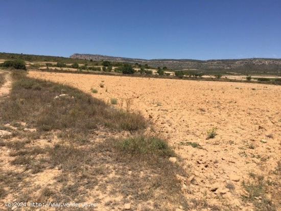 TERRENO EN SAN ANTON - ALBACETE