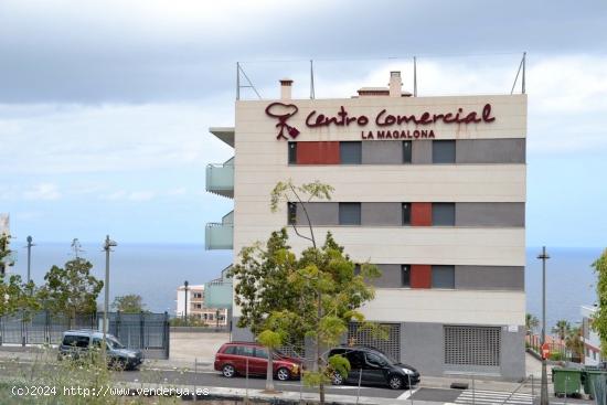 Terrenos Urbanos junto al C.C. La Magalona - Icod de los Vinos - SANTA CRUZ DE TENERIFE