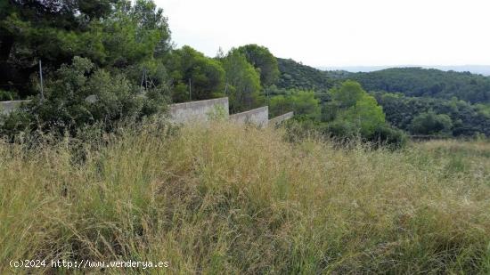 TERRENO EN VENTA DE 546 M2- PRIORAT DE LA BISBAL - TARRAGONA