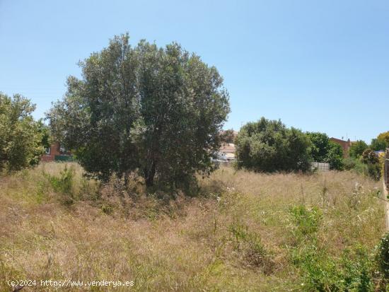 BUSCAS UN TERRENO PARA CONSTRUIR TU SUEÑO? TE LO HEMOS ENCONTRADO. - TARRAGONA