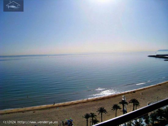  MAGNIFICO PISO EN ALQUILER CENTRO ALICANTE - PLAYA POSTIGUET - ALICANTE 