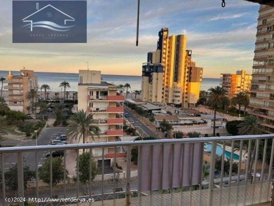  PISO EN VENTA EN PLAYA SAN JUAN ALICANTE - - ALICANTE 