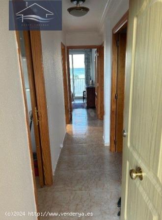 PISO EN VENTA EN PLAYA SAN JUAN ALICANTE - - ALICANTE