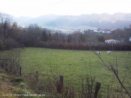  Se Vende en Valle de Mena - BURGOS 