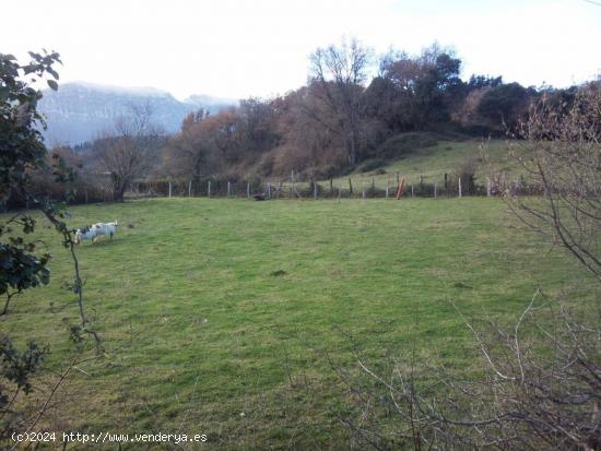 Se Vende en Valle de Mena - BURGOS