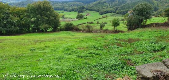  TERRENO URBANO DE 1750M2 - BURGOS 