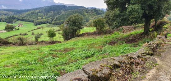 TERRENO URBANO DE 1750M2 - BURGOS