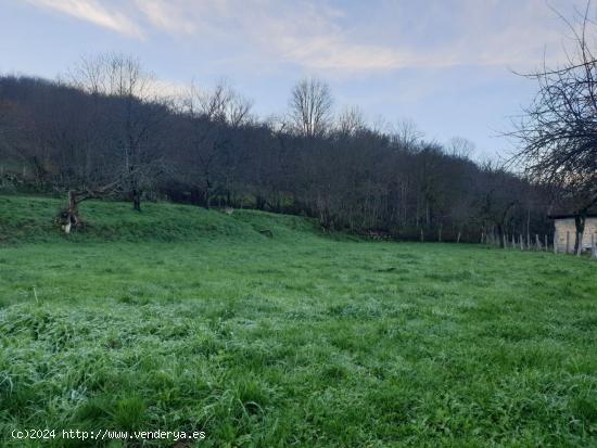 Se Vende en Valle de Mena - BURGOS