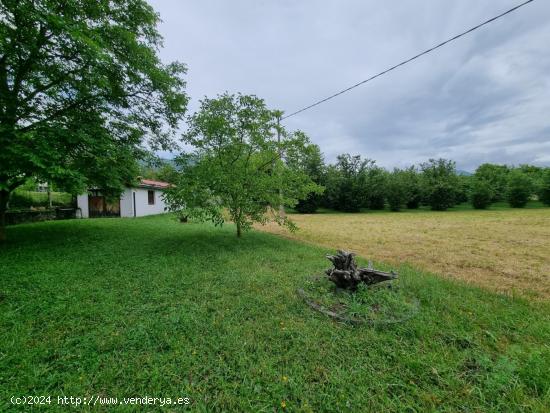 TERRENO URBANO EN VALLE DE MENA - BURGOS