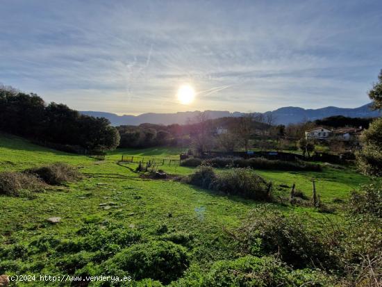 83.744 M2 DE TERRENO RUSTICO Y  CASA A REFORMAR - BURGOS