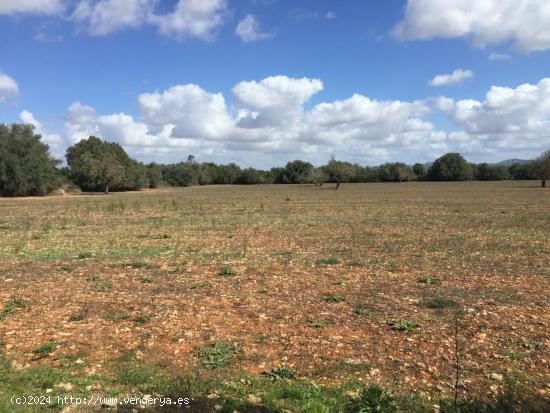 Finca rústica en Felantix. - BALEARES