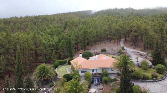 Maravillosa propiedad en La Palma/Ubicación aislada única - en medio de la reserva natural - SANTA