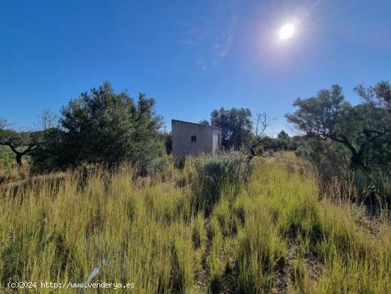 Terreno rústico de más de 10.000 m2 con caseta - TARRAGONA