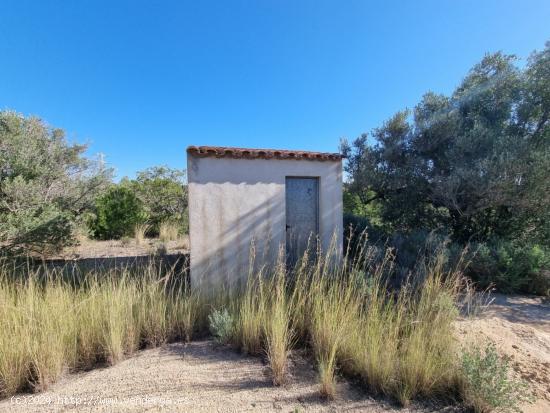 Terreno rústico de más de 10.000 m2 con caseta - TARRAGONA