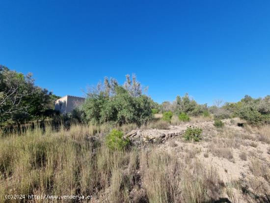 Terreno rústico de más de 10.000 m2 con caseta - TARRAGONA