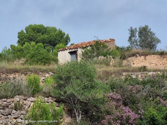  Finca rústica de 17.554 m2 en L´Ametlla de Mar con construcción - TARRAGONA 