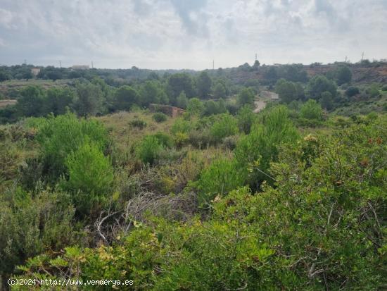 Finca rústica de 17.554 m2 en L´Ametlla de Mar con construcción - TARRAGONA