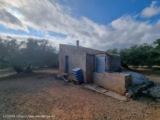 Finca Rústica con Caseta y cisterna de agua - TARRAGONA